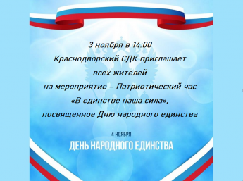 Патриотический час "В единстве наша сила"