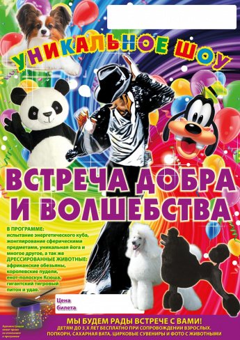 Владимирский Цирк